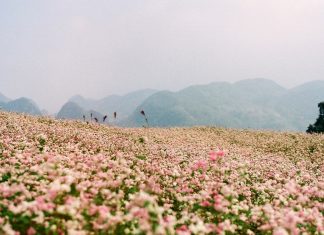 du lịc dong bac