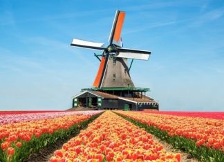 Chiêm ngưỡng vẻ đẹp lãng mạn của vườn hoa Keukenhof khi du lịch Hà Lan Chiêm ngưỡng vẻ đẹp lãng mạn của vườn hoa Keukenhof khi du lịch Hà Lan