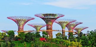 Du lich Singapore